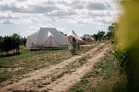 Glamp Mezi Vinicemi - Valtice