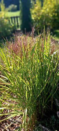 U nás pod Kletí - Chlum u Křemže