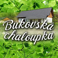 Bukovská chaloupka - Bernartice