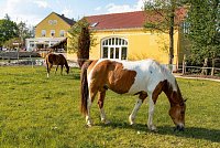 Mlýn Drásov - Drásov