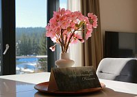 Apartmán pod Plešivcem - Abertamy