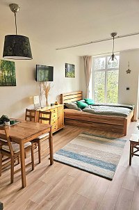 Lesní apartmán - Hamry