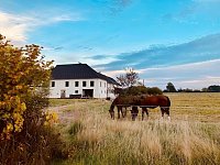 Peškův mlýn - Třebeč
