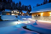 Chalety Olešná - Olešná