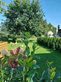 Domek u pekárny - Svijany