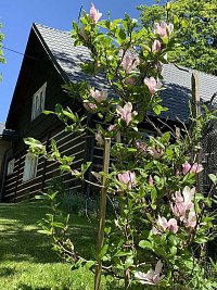 Chalupa Zdeňka - Sedloňov