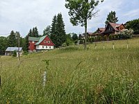 Srdcovka - Kořenov