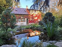 U houbaře - Svratouch