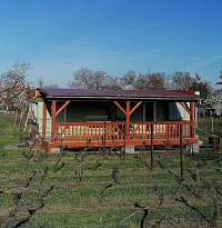 Mobilhome mezi vinohrady - Dolní Věstonice