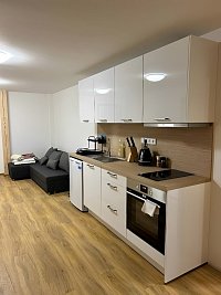Útulné apartmány s kuchyní - Prkenný Důl