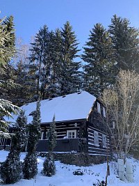 Chaloupka u lesa - Olešnice v O. h.