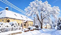 Penzion u Dračí skály - Svojše