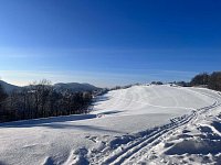 Chata u lesa - Kojetín