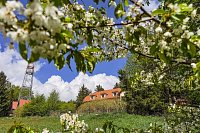 Penzion Mikulčin vrch - Vápenice