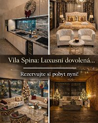 Vila na spině - Vidče