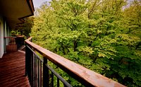 Apartmán v korunách stromů - Szklarska Poręba