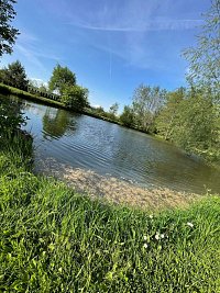 Maringotka u rybníka - Osek