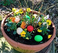 Pension Fanlor - Zubčická Lhotka