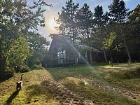 4borovice - Velká Lečice