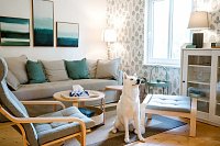 Lesní domeček ZAJÍC / JELEN / VLK a MEDVĚD - Nová Živohošť