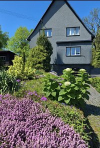 Hortenzie - chalupa v Beskydech - Ostravice