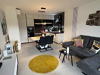 Apartmán DaFi Plzeň - Plzeň