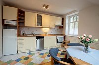 Apartmán U Sjezdovky - Černý Důl