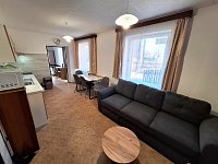Apartmán pod Vrchmezím 1 - Olešnice v O. h.